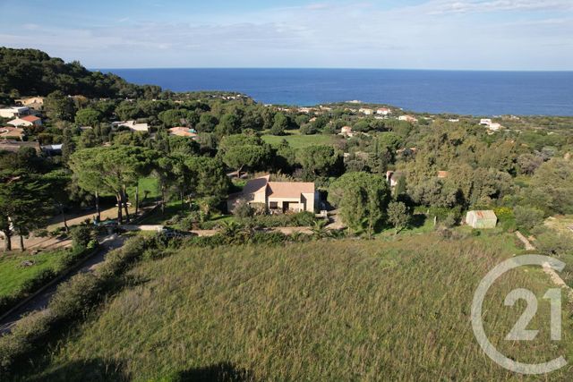 Terrain à vendre - 2000 m2 - Corbara - 202 - CORSE