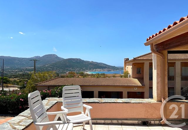 Appartement T2 à vendre - 2 pièces - 34,30 m2 - Corbara - 202 - CORSE