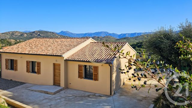 Maison à vendre - 5 pièces - 139 m2 - Santo Pietro Di Tenda - 202 - CORSE