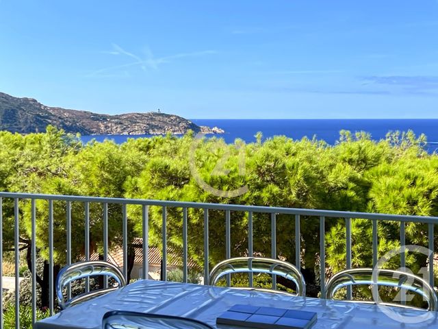 Appartement Studio à vendre - 1 pièce - 31,11 m2 - Calvi - 202 - CORSE